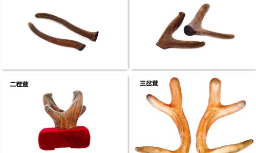 手心脚心出汗-手心脚心为什么老出汗怎么回事网- 手心脚心出汗知识,分享手心脚心发红怎么回事