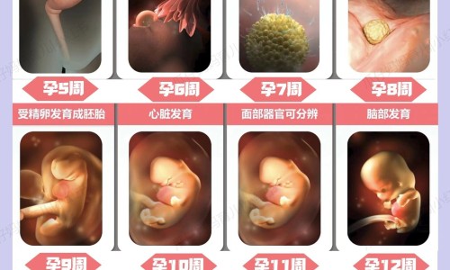 手心脚心出汗-手心脚心为什么老出汗怎么回事网- 手心脚心出汗知识,分享手心脚心发红怎么回事